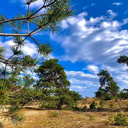 Bonte Specht: Tot Rust Komen In De Natuur! Otterlo Εξωτερικό φωτογραφία