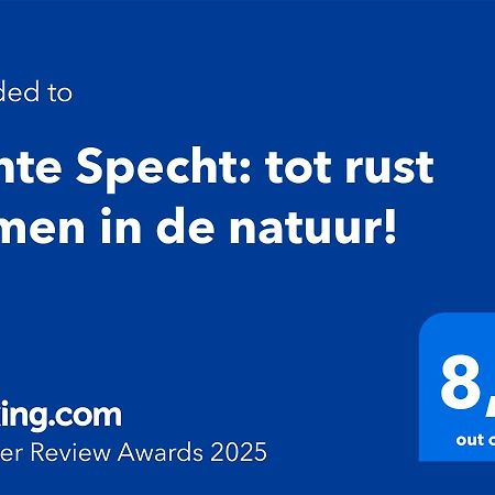Bonte Specht: Tot Rust Komen In De Natuur! Otterlo Εξωτερικό φωτογραφία