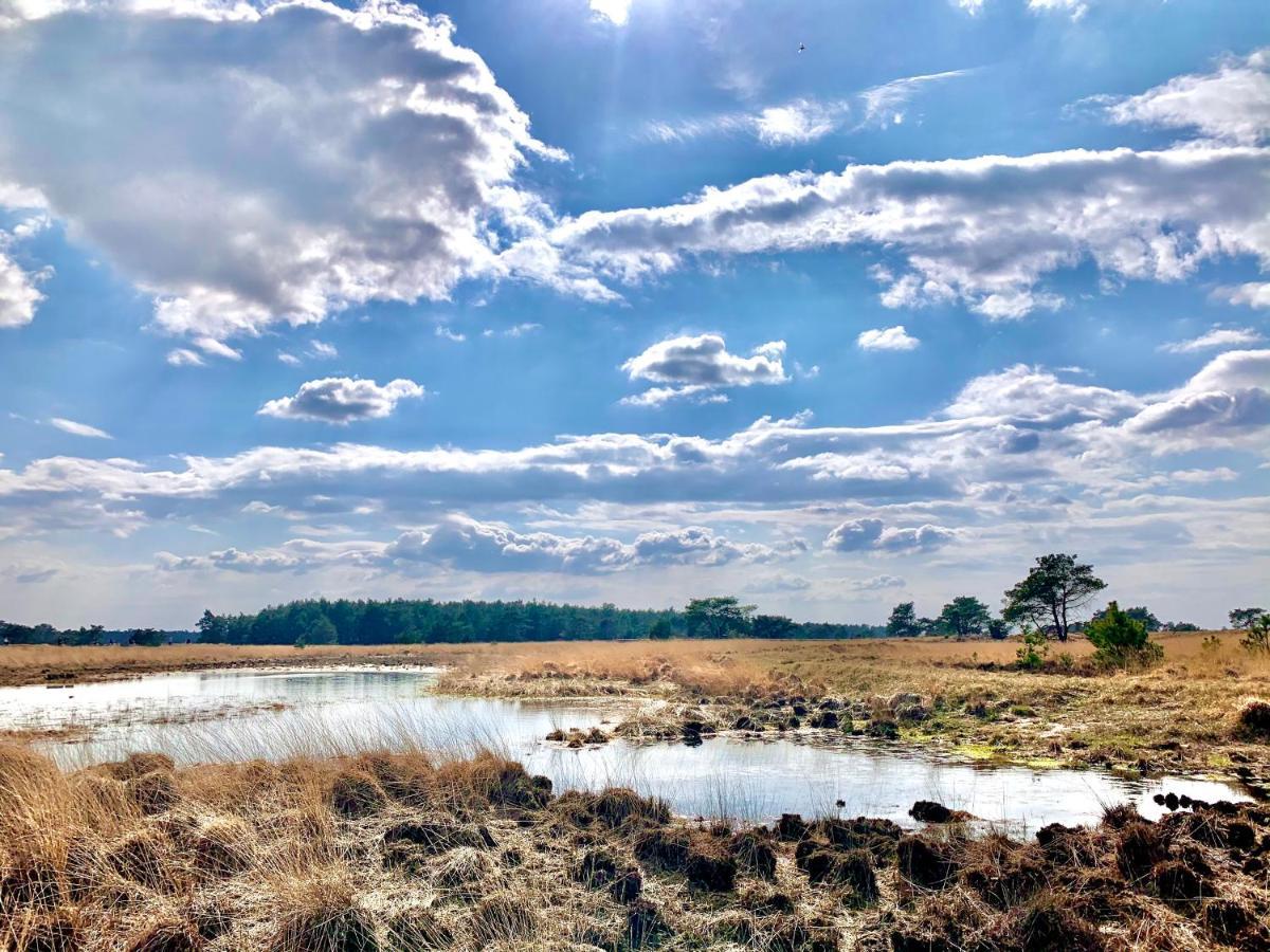Bonte Specht: Tot Rust Komen In De Natuur! Otterlo Εξωτερικό φωτογραφία