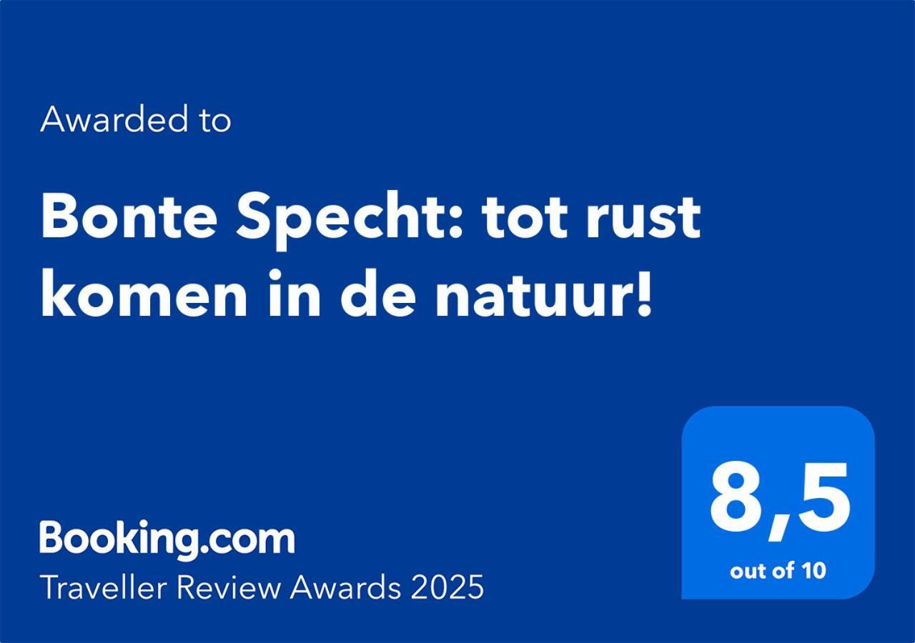 Bonte Specht: Tot Rust Komen In De Natuur! Otterlo Εξωτερικό φωτογραφία